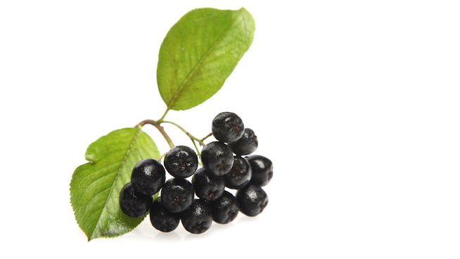 Are Chokeberries the Next Superfood for Athletes