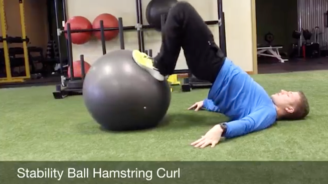 Stability Ball Hamstring Curl