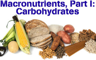 Macronutrients, Part I- Carbohydrates