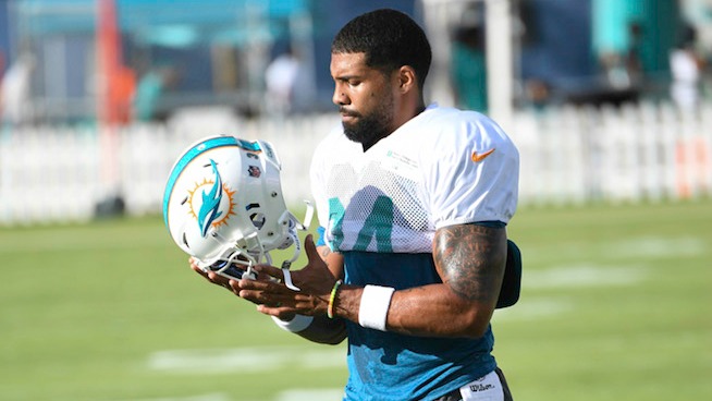 arian foster dolphins jersey