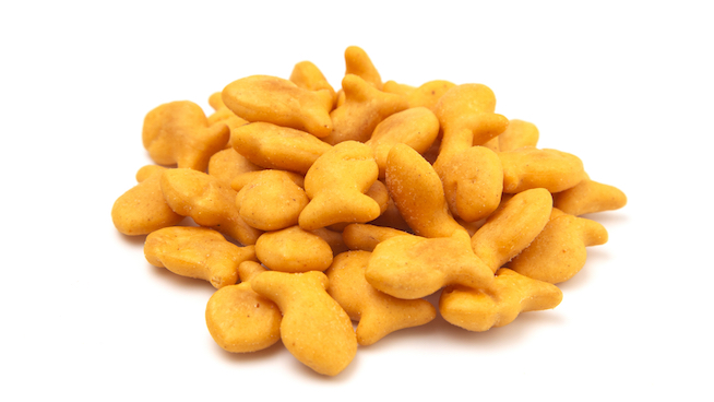 Are Goldfish Healthy? - Stack.com